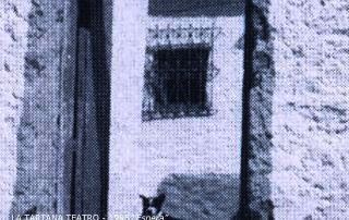 12 LA TARTANA 1995