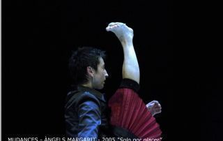 17- MUDANCES_2005 copia