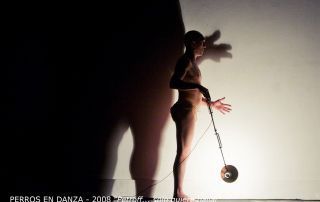20 PERROS EN DANZA 2008